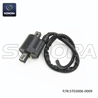 AM6 Bobina de encendido del motor (P / N: ST03006-0009) Calidad superior