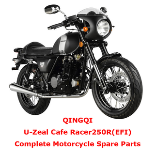 QINGQI Cafe Racer250R EFI Repuestos completos de motocicleta