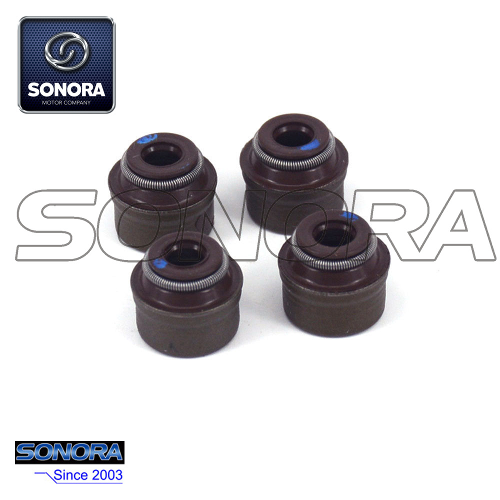 Kit de vástago de válvula de motor Zongshen250 NC250